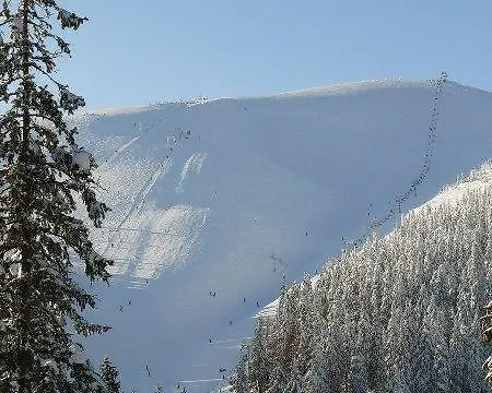 Zelena Dacha 2* Drahobrat