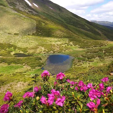 Zelena Dacha Hotel 2*