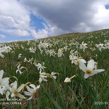 Zelena Dacha 德拉格布拉特