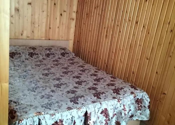 Zelena Dacha Otel Drahobrat