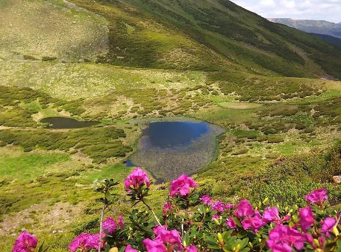 Zelena Dacha Otel 2*